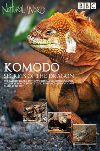 Natural World filmas online