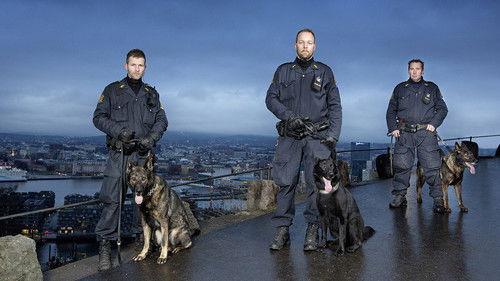 Hundepatruljen Oslo filmas žiurėti online