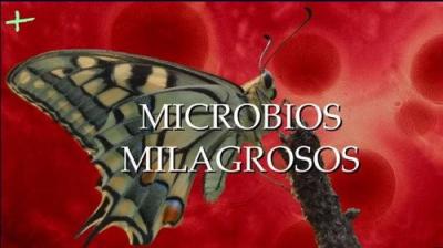 Planeta Microbio