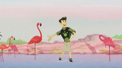 Wild Kratts