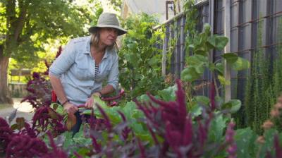Gardening Australia