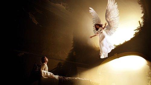 Angels in America filmas žiurėti online