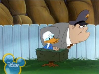 Quack Pack