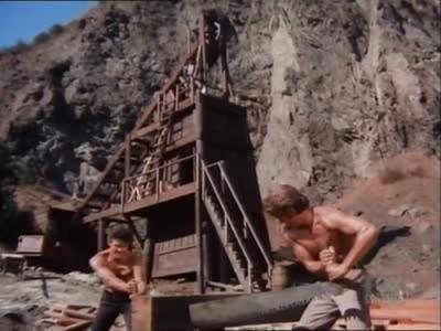 Bonanza