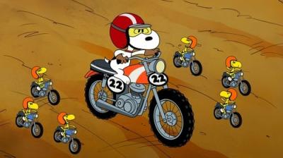 The Snoopy Show