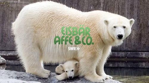 Eisbär, Affe & Co. filmas žiurėti online