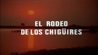 El hombre y la Tierra