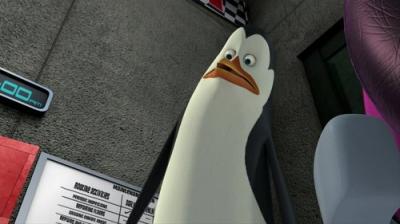 Madagaskaro pingvinai