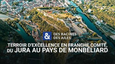 Des racines & des ailes