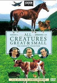 All Creatures Great and Small filmas online