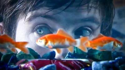 Skins