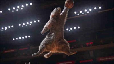 Les Marmottes