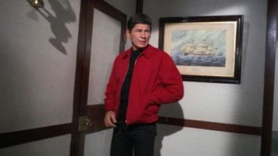 The Fugitive
