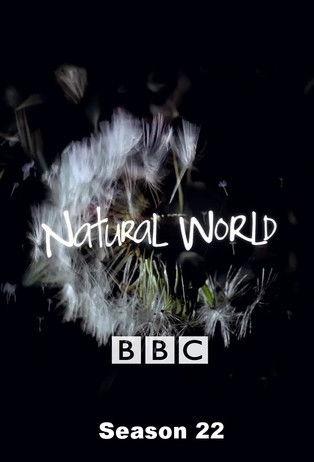 Natural World filmas online
