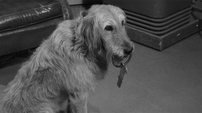 The Andy Griffith Show