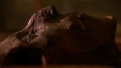 Digging for the Truth