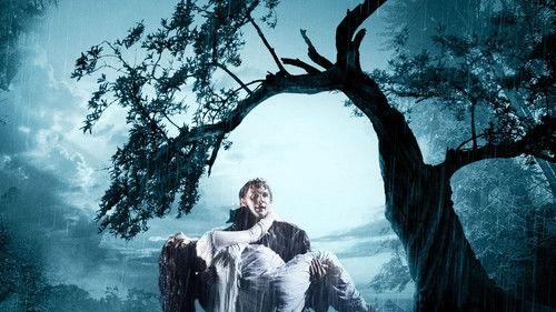 Wuthering Heights filmas žiurėti online