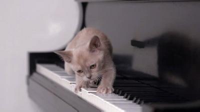Too Cute