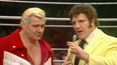 WWF All-Star Wrestling