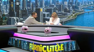 Furnicuțele