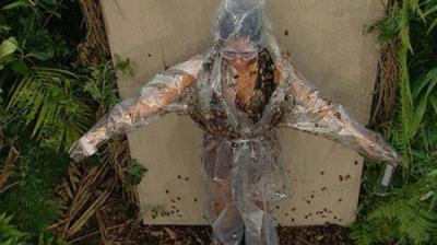 I'm a Celebrity...Get Me Out of Here!
