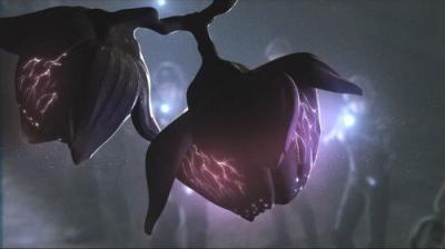 Incarnation Speical