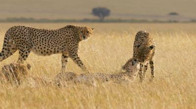 Septyni pasauliai, viena planeta