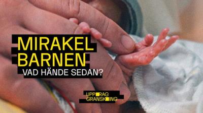 Uppdrag granskning sommar