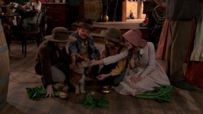Nicky, Ricky, Dicky & Dawn