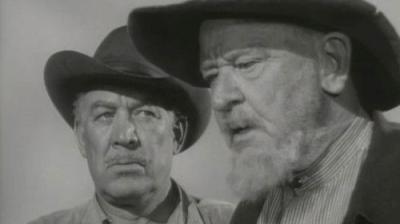 Wagon Train