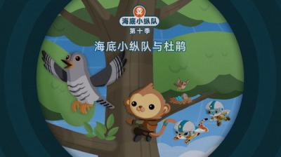 Octonauts