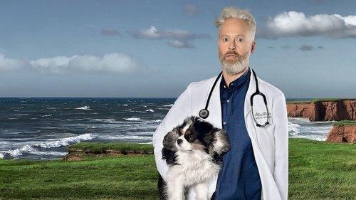 Temps de chien filmas žiurėti online