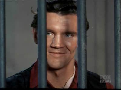 Bonanza
