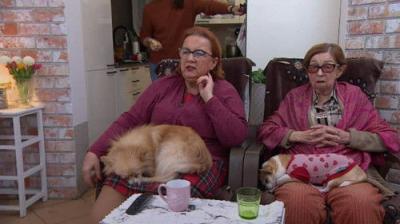 Gogglebox. Przed telewizorem.