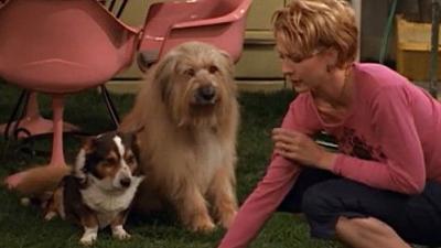 Dharma & Greg