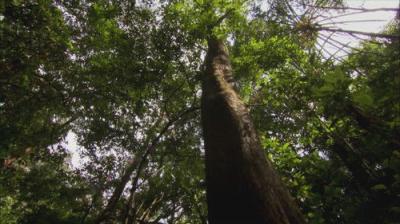 Earth Odyssey with Dylan Dreyer