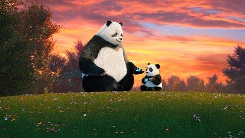Stillwater filmas žiurėti online