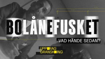 Uppdrag granskning sommar