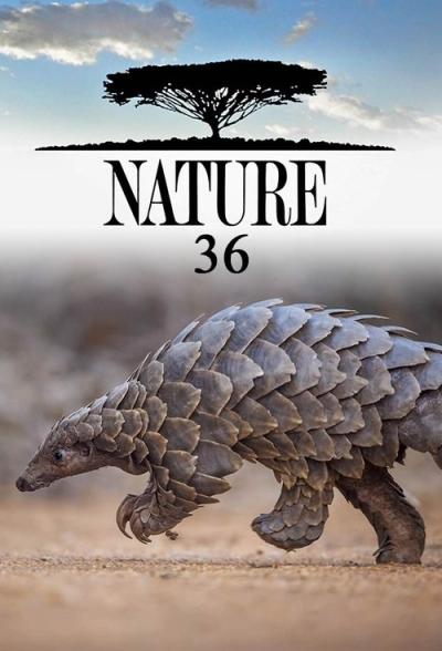 Nature filmas online