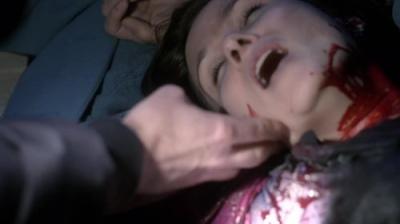 Įstatymas ir tvarka. Specialiųjų tyrimų skyrius