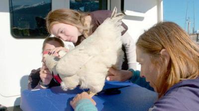 Dr. Oakley, Yukon Vet