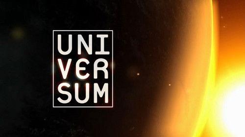 Universum filmas žiurėti online