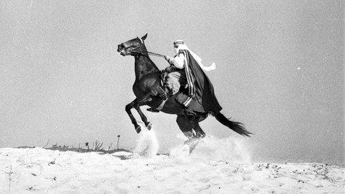O Sheik de Agadir filmas žiurėti online