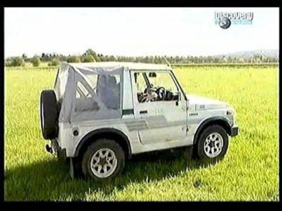 Wheeler Dealers