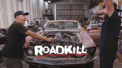 Roadkill