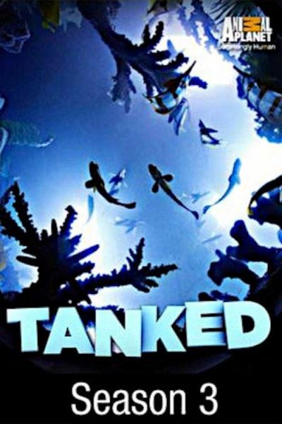 Tanked filmas online