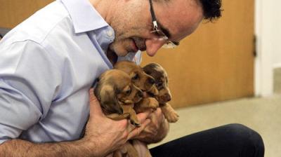 The Supervet: Noel Fitzpatrick
