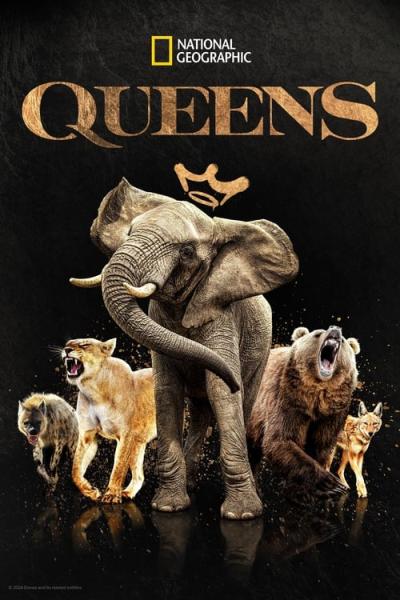 Queens filmas online