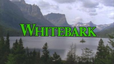 Marty Stouffer's Wild America