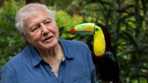Attenborough's Life in Colour filmas žiurėti online